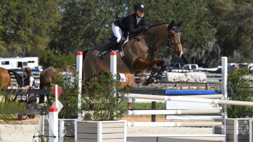 Gs equestrian — Optima Expert